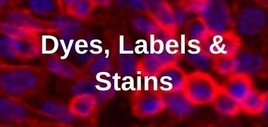 Dyes, Stains & Fluorophore Free Trial Products