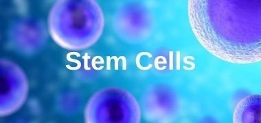 Stem Cell Small Molecules & Supplements Free Trial Products
