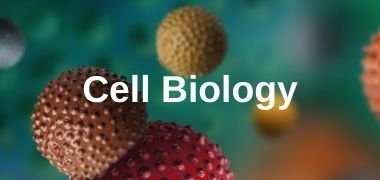 Cell Signaling & Cell Biology Free Trial Products