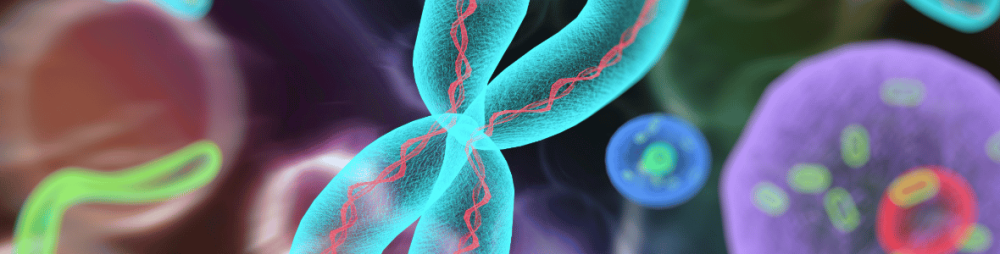 Chromosomes, DNA and cells illustrating Hello Bio’s focus on life science research and biological discovery