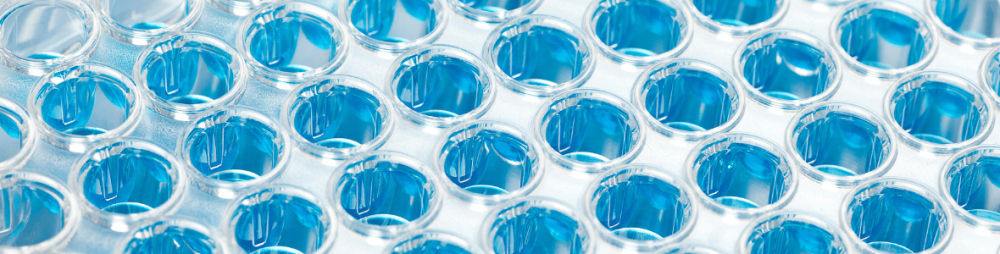 96-well plate representing Hello Bio's flexible assay formats and custom biochemical services
