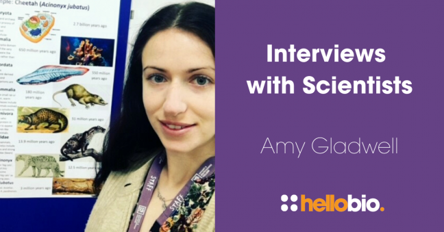 Interviews with Scientists: Amy Gladwell