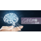 NEURO-2025: Empowering the Next Generation of Neuroscientists