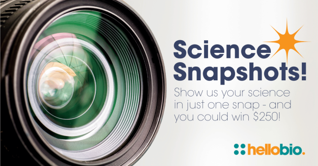 Science Snapshots Competition - win $250 Lab Fun Grant!