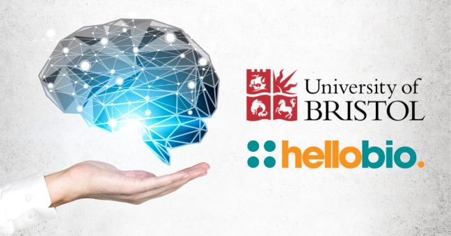 Celebrating 20 Years of the Bristol Neuroscience BSC Programme!