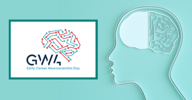 Networking & Knowledge-Sharing for Early Career Neuroscientists