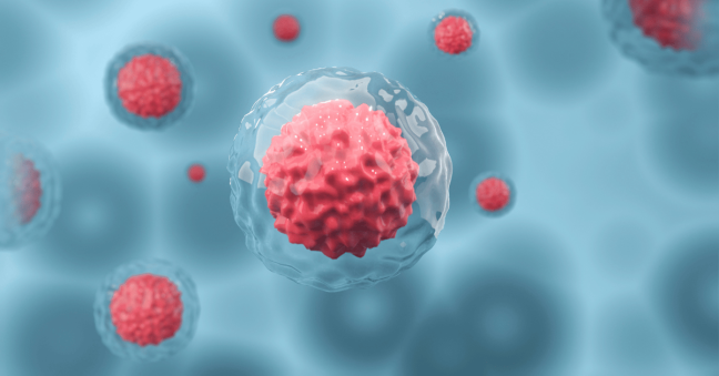 Accessible Innovation in Stem Cell Research at the 13th Annual MSCA Meeting