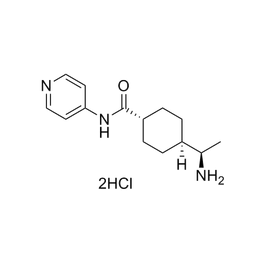 ROCK inhibitor Y-27632 | Hello Bio ROCK inhibitor Y-27632 | Hello Bio