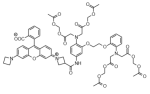 BAPTA-AM Janelia Fluor® 549