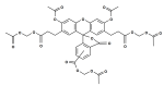 BCECF AM