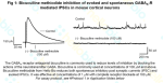 Bicuculline inhibition of GABAA receptor mediated IPSCs