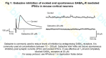 SR95531 / Gabazine inhibition of GABAA receptor mediated IPSCs