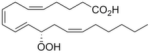 12(S)-HPETE