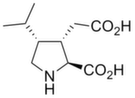 Dihydrokainic acid