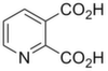 Quinolinic acid