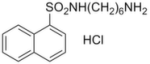 W-5 hydrochloride