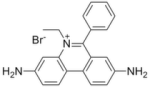 Ethidium Bromide solution, 10mg/mL in H<sub>2</sub>O