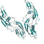 Recombinant rat GDNF protein