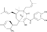 IWP 12