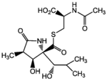 Lactacystin