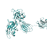Recombinant mouse Neuropilin-1 NRP1 protein