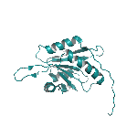 Recombinant mouse GMF-beta protein