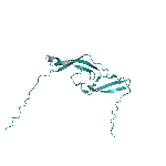 Recombinant rat Midkine protein