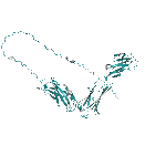 Recombinant rat CNTFR protein