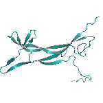 Recombinant mouse NT-3 protein