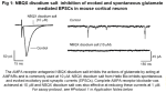 NBQX disodium inhibition of AMPA receptor mediated EPSCs