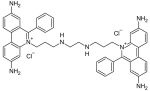 Ethidium homodimer I