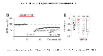 Data showing potentiation of LTD by UBP709