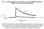 DL-AP5 sodium inhibition of evoked NMDAR meditaed EPSCs