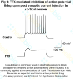Tetrodotoxin (citrate free)
