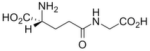 gamma-DGG / γ-DGG (γ-D-glutamylglycine)