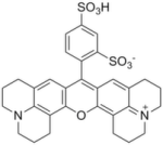Sulforhodamine 101 (SR101)