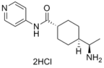 ROCK inhibitor Y-27632