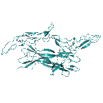 Recombinant human beta-NGF (CHO-expressed) protein