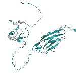 Recombinant human Neuregulin-1 Alpha / NRG1A protein