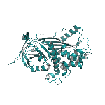Recombinant human PEDF/Serpin-F1 (His Tag) protein