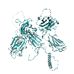 Recombinant human Neuropilin-1 / NRP1 protein