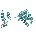 Recombinant rat MANF protein