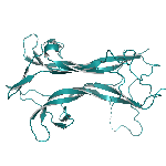 Recombinant human BDNF (His Tag) protein