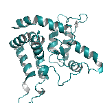 Recombinant mouse Persephin / PSPN protein