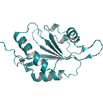 Recombinant rat GMF-beta protein