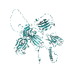 Recombinant rat Neuropilin-1 / NRP1 protein