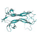 Recombinant human NT-4 protein
