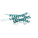 Recombinant mouse CNTF protein