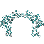 Recombinant human Neurturin / NRTN protein