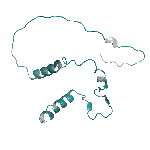 Recombinant human proBDNF protein